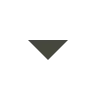 arrow_drop_down_gray